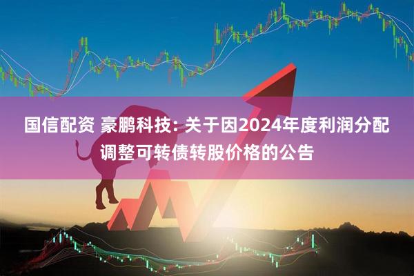 国信配资 豪鹏科技: 关于因2024年度利润分配调整可转债转股价格的公告