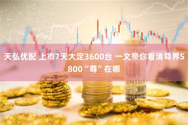天弘优配 上市7天大定3600台 一文带你看清尊界S800“尊”在哪