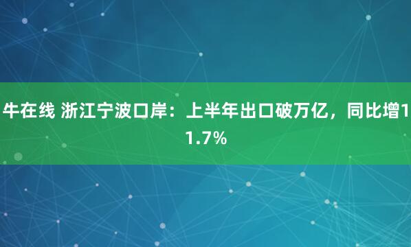 牛在线 浙江宁波口岸：上半年出口破万亿，同比增11.7%