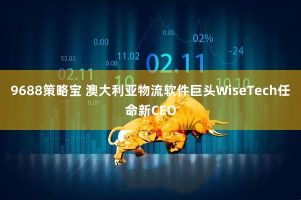 9688策略宝 澳大利亚物流软件巨头WiseTech任命新CEO