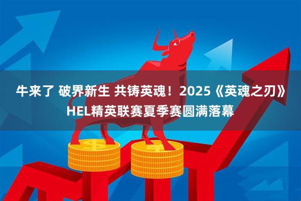 牛来了 破界新生 共铸英魂！2025《英魂之刃》HEL精英联赛夏季赛圆满落幕