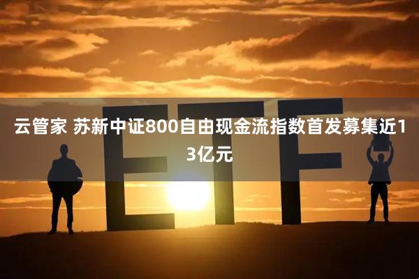 云管家 苏新中证800自由现金流指数首发募集近13亿元