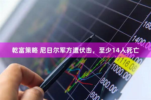 乾富策略 尼日尔军方遭伏击，至少14人死亡