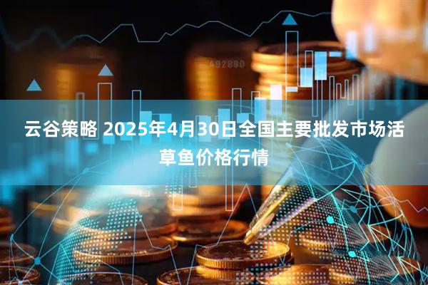 云谷策略 2025年4月30日全国主要批发市场活草鱼价格行情